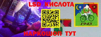 индика Рузаевка
