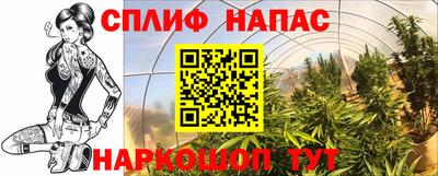 прущая мука Пугачёв