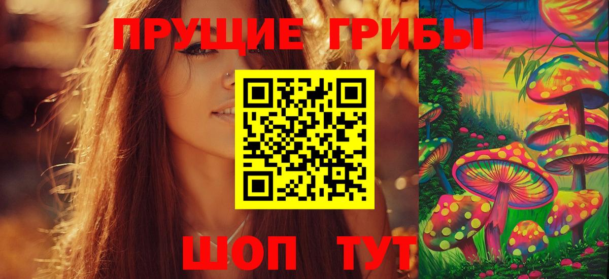 Псилоцибиновые грибы GOLDEN TEACHER  Галлюциногенные грибы Psilocybine cubensis  Ржев  Вход с VPN 