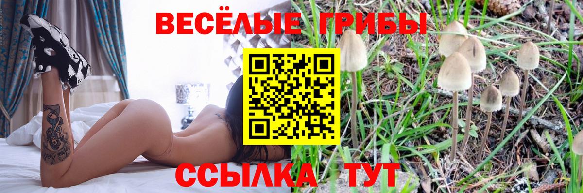 Галлюциногенные грибы MAGIC MUSHROOMS Ржев
